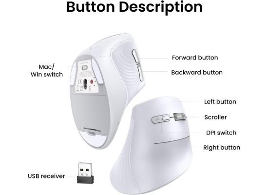 UGREEN Vertical Mouse (Multi-Mode Bluetooth + Wireless ) | Ergonomic Design – MU008 - White